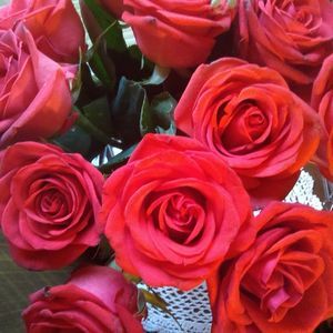 Meet your Posher, Lezlee